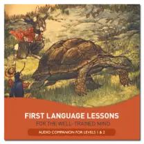 Elementary Grammar