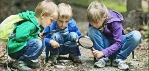 Goals for Each Stage of Science Learning