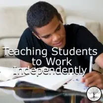 Teaching Students to Work Independently