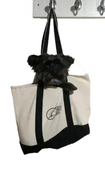 Well-Trained Mind Press Canvas Tote Bag